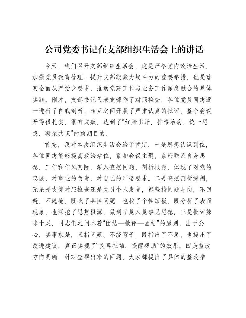 公司党委书记在支部组织xxx上的讲话