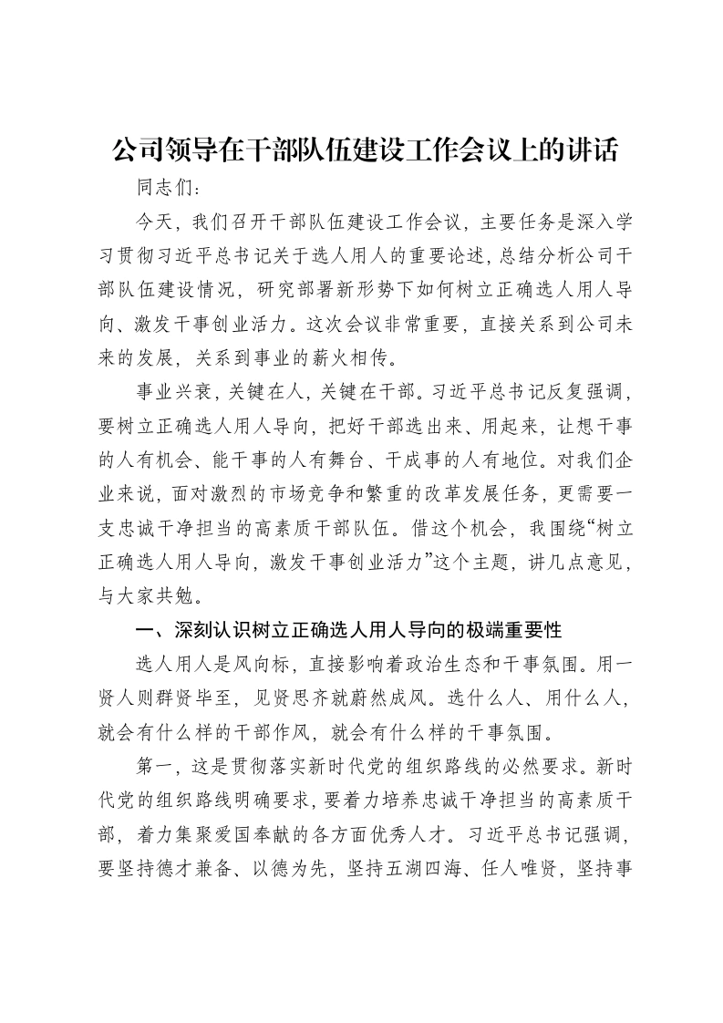 公司领导在干部队伍建设工作会议上的讲话-笔杆云