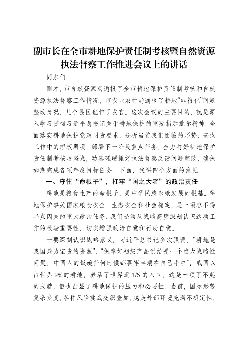 副市长在全市耕地保护责任制考核暨自然资源执法督察工作推进会议上的讲话-笔杆云