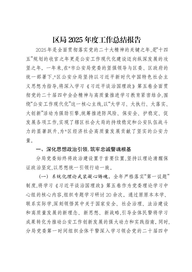 区局2025年度工作总结报告