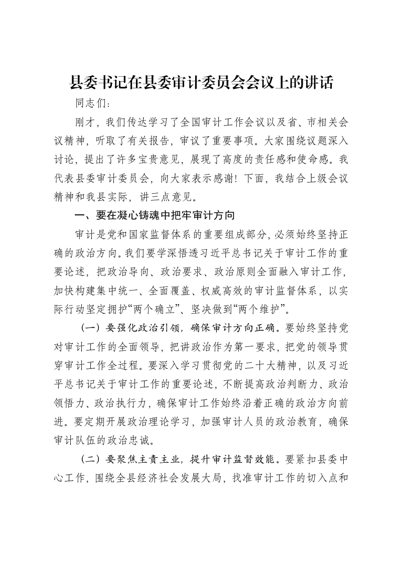 县委书记在县委审计委员会会议上的讲话