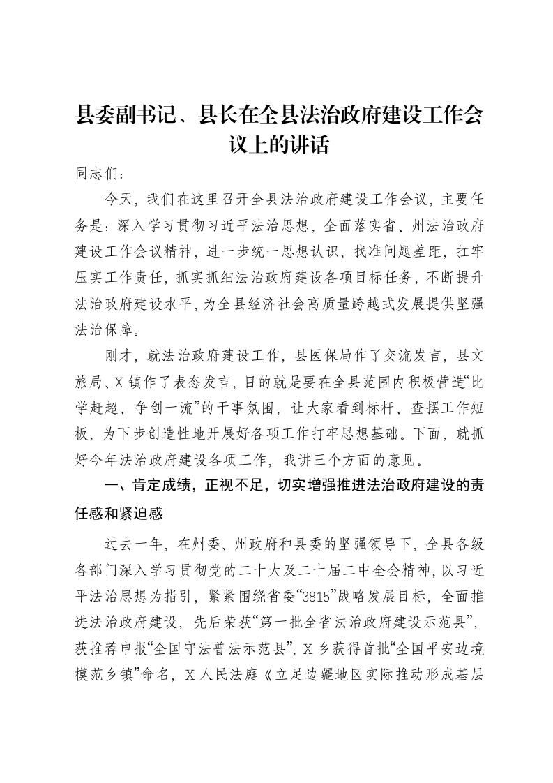 县委副书记、县长在全县法治政府建设工作会议上的讲话