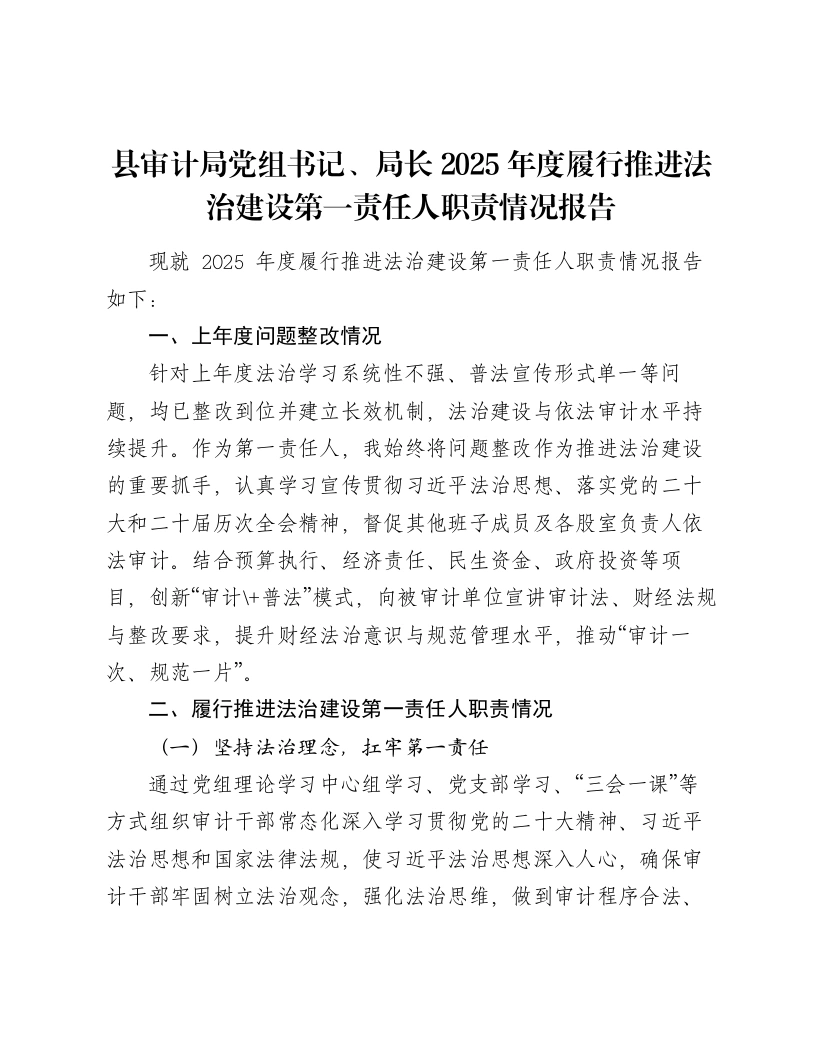 县审计局党组书记、局长2025年度履行推进法治建设第一责任人职责情况报告-笔杆云