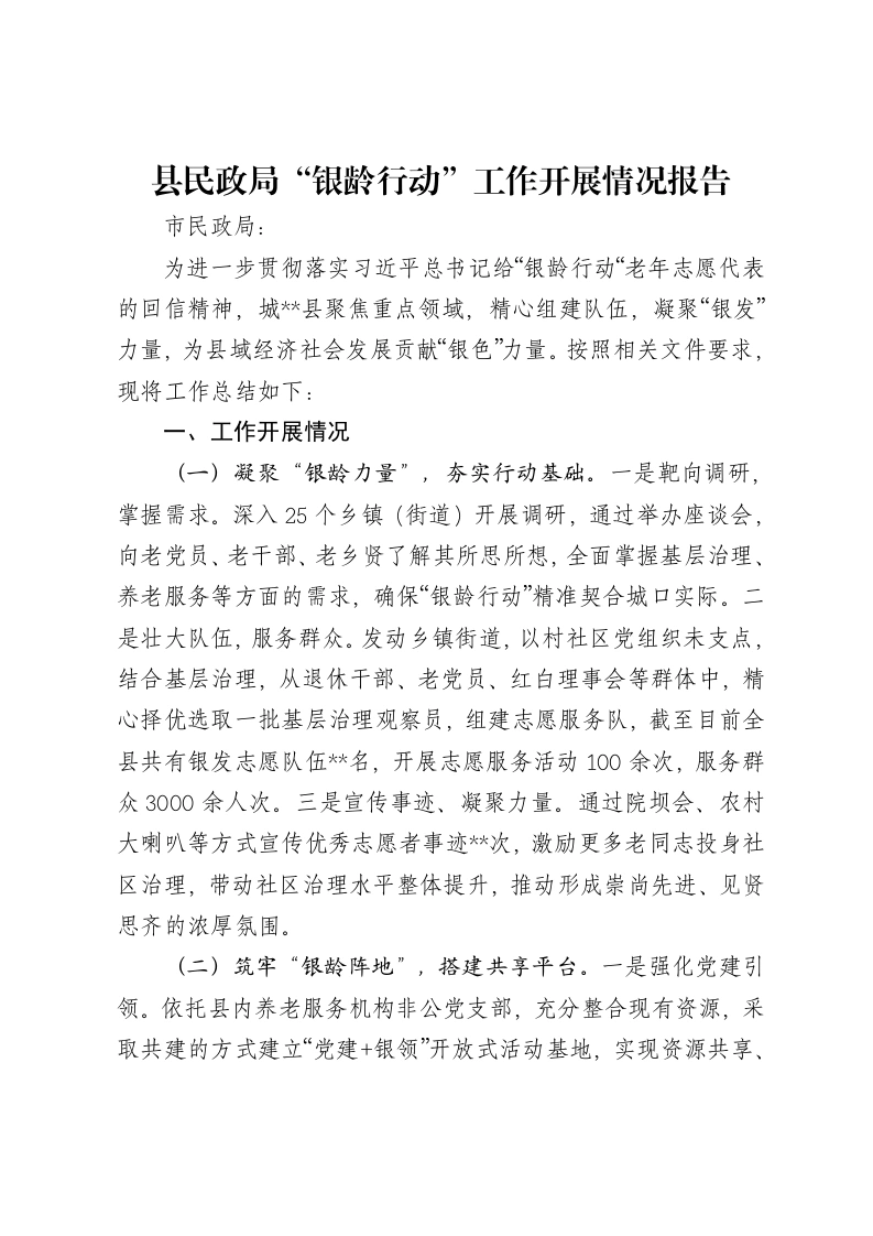 县民政局“银龄行动”工作开展情况报告-笔杆云
