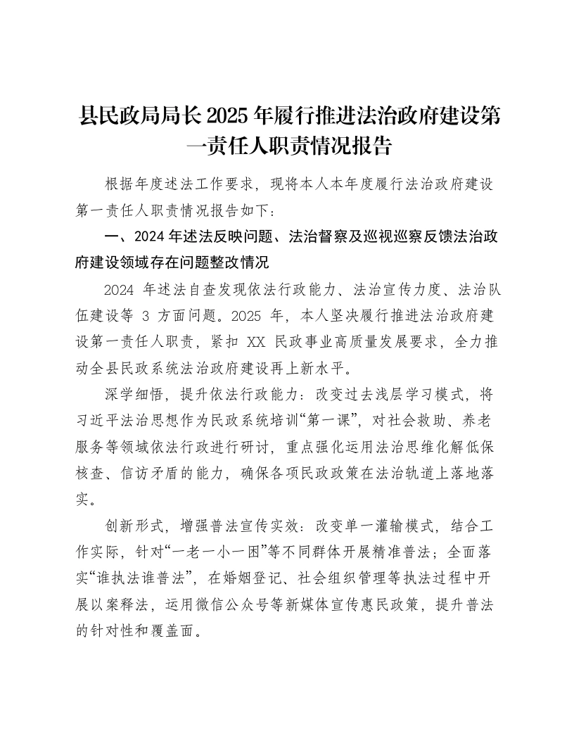 县民政局局长2025年履行推进法治政府建设第一责任人职责情况报告-笔杆云