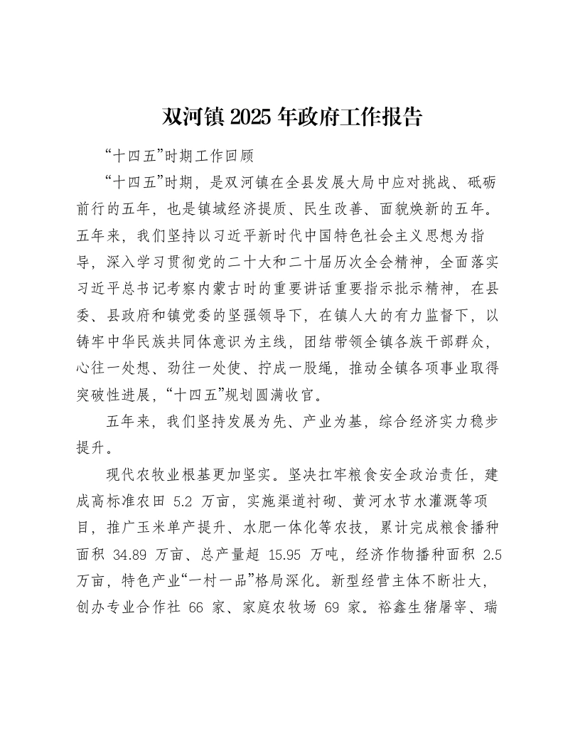 双河镇2025年政府工作报告-笔杆云