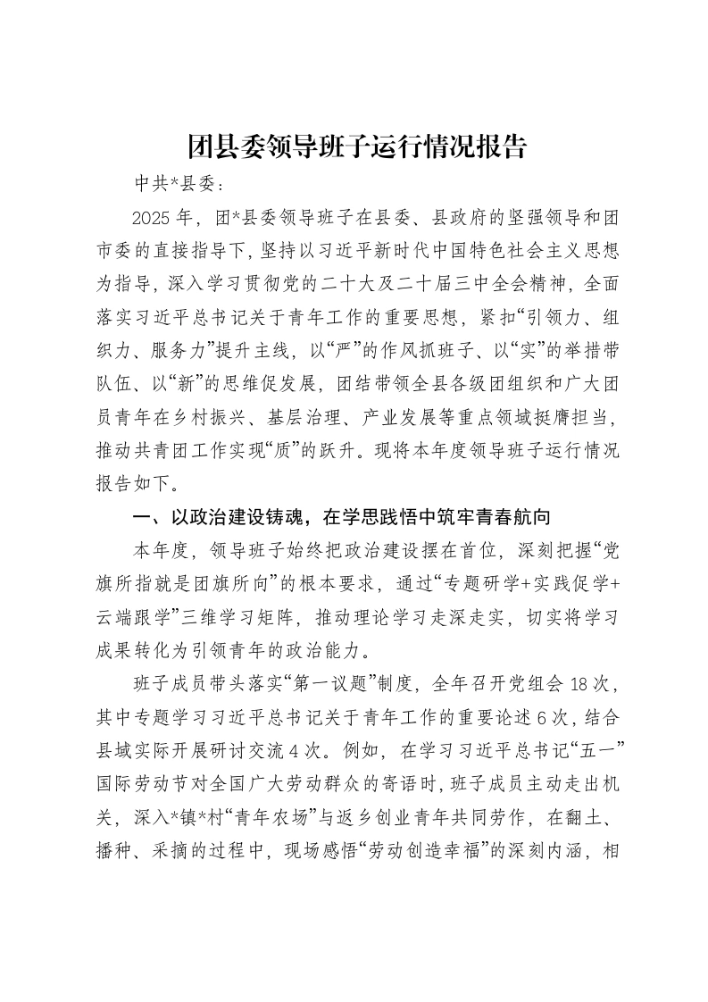 团县委领导班子运行情况报告-笔杆云