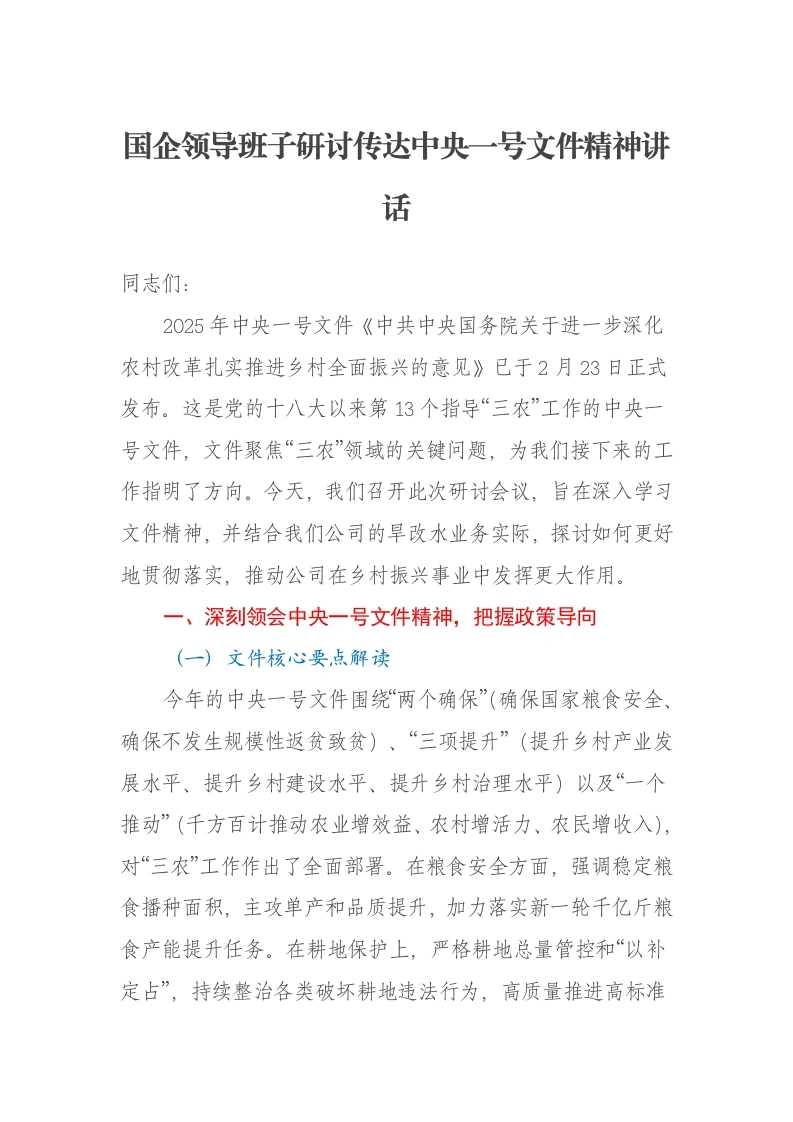 国企领导班子研讨传达中央一号文件精神讲话