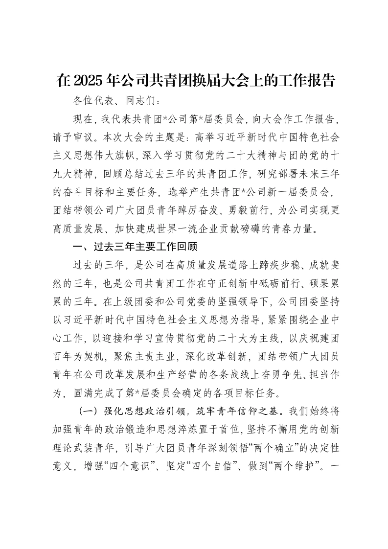 在2025年公司共青团换届大会上的工作报告