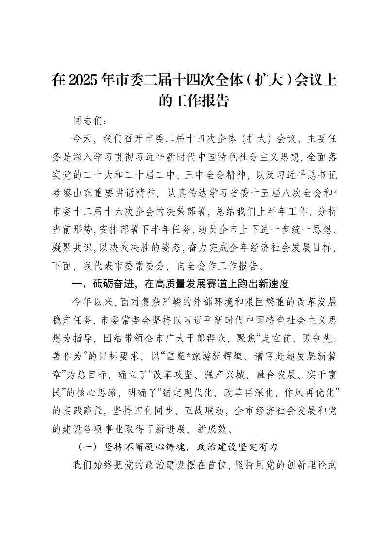 在2025年市委二届十四次全体（扩大）会议上的工作报告