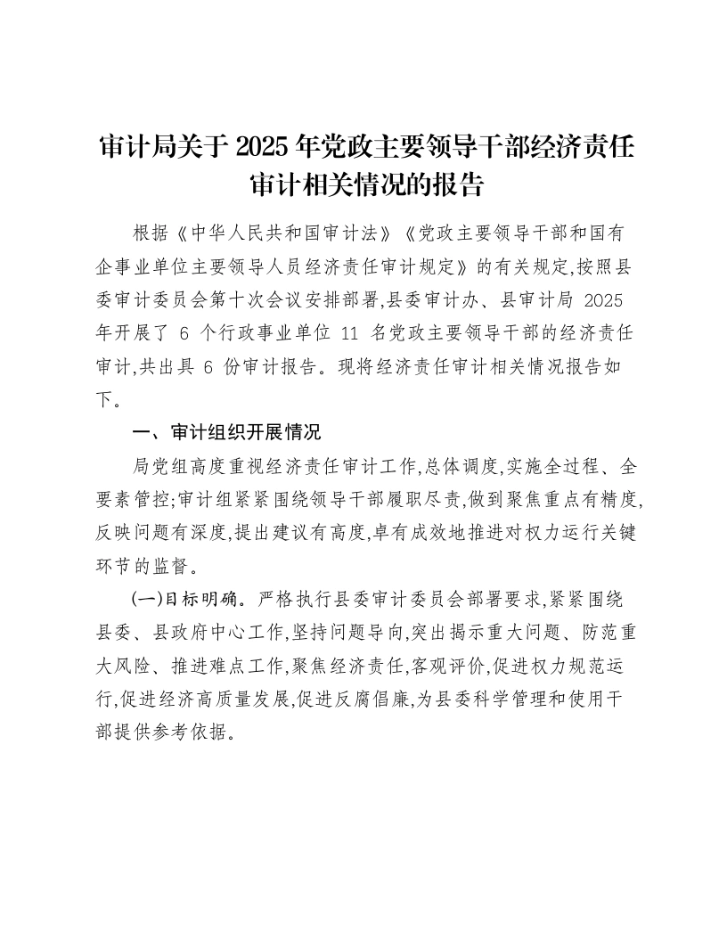 审计局关于2025年党政主要领导干部经济责任审计相关情况的报告