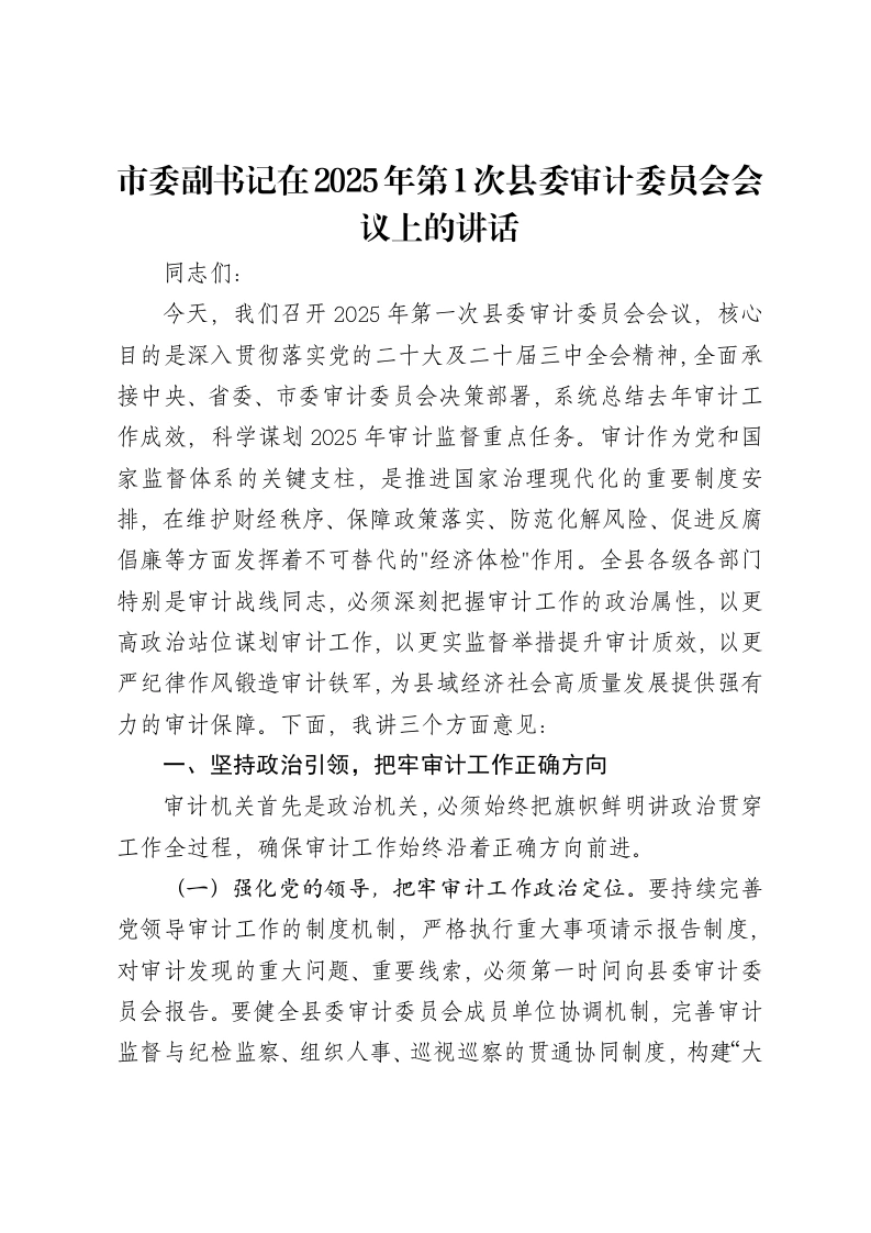 市委副书记在2025年第1次县委审计委员会会议上的讲话