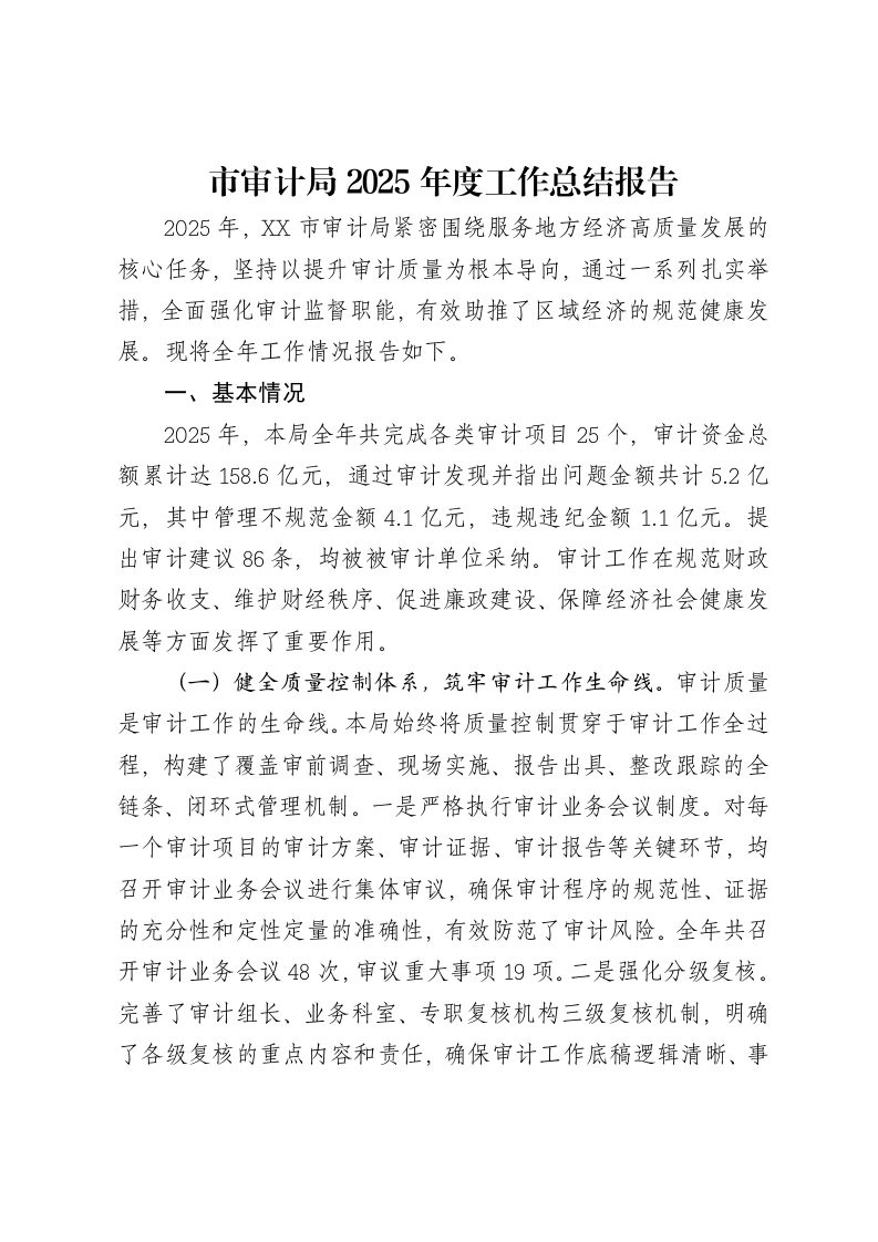 市审计局2025年度工作总结报告