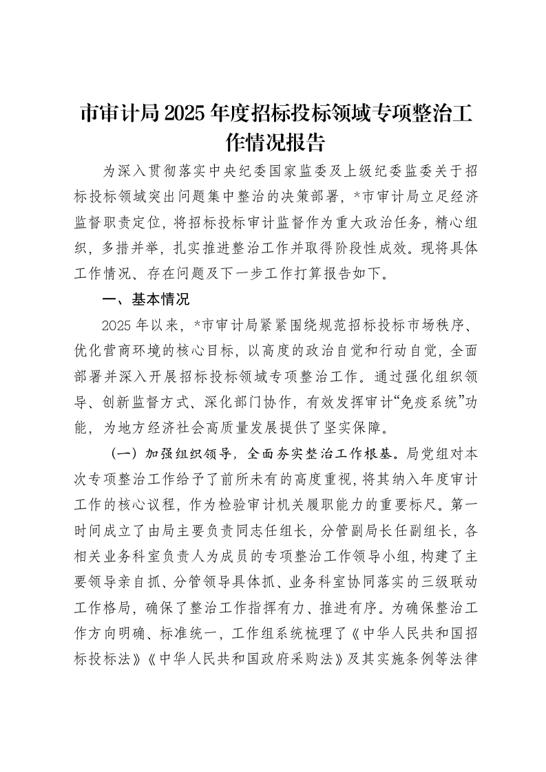 市审计局2025年度招标投标领域专项整治工作情况报告
