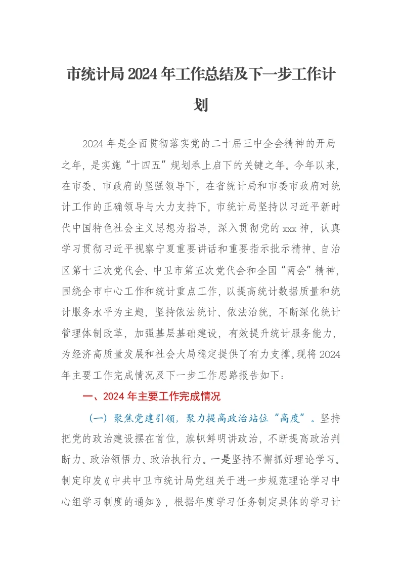 市统计局2024年工作总结及下一步工作计划-笔杆云
