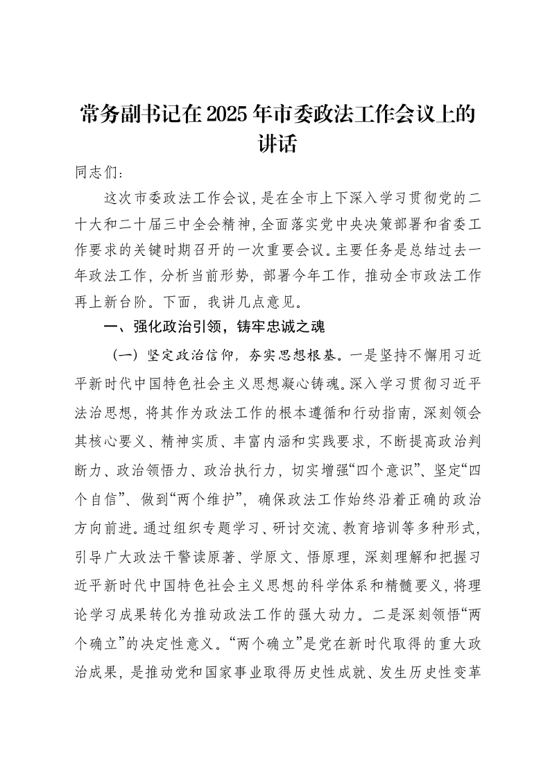 常务副书记在2025年市委政法工作会议上的讲话-笔杆云