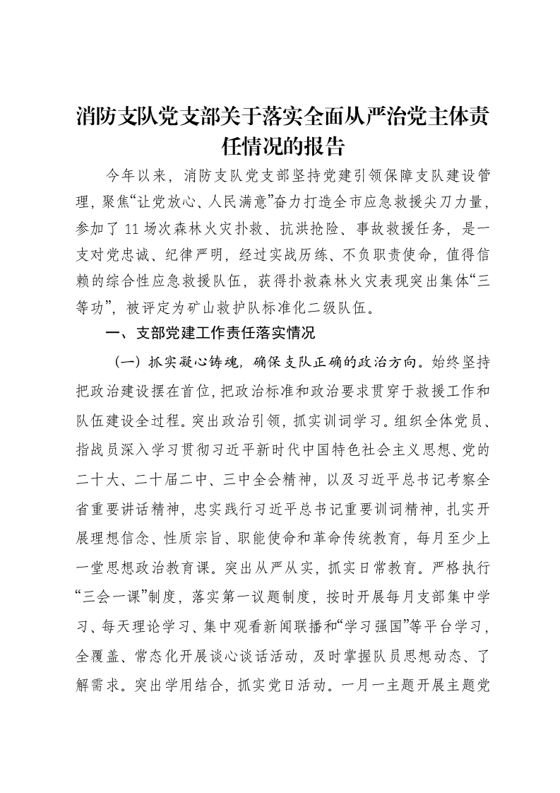 消防支队党支部关于落实全面从严治党主体责任情况的报告-笔杆云