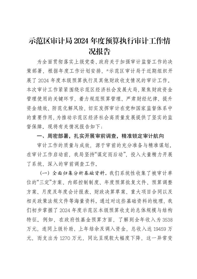 示范区审计局2024年度预算执行审计工作情况报告