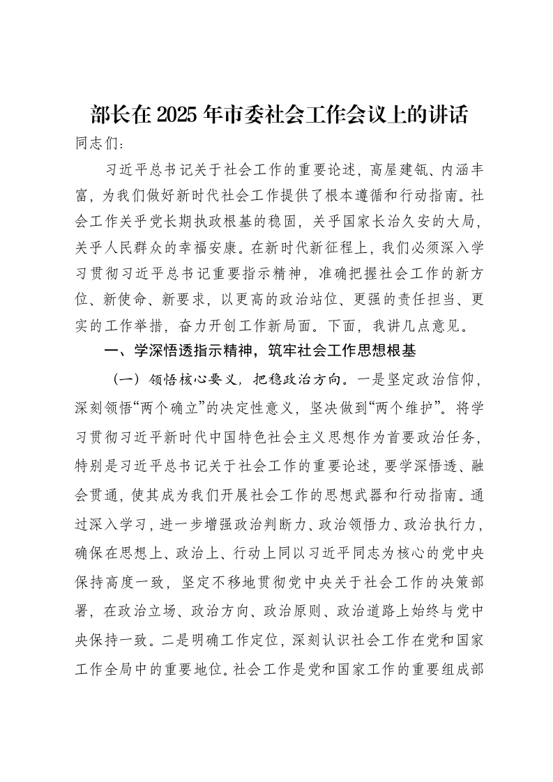 部长在2025年市委社会工作会议上的讲话-笔杆云