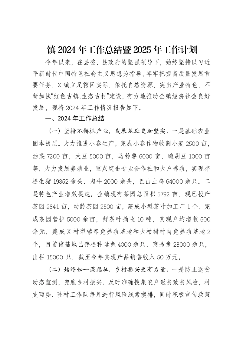 镇2024年工作总结暨2025年工作计划
