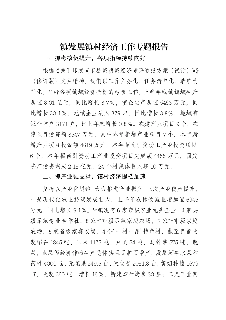 镇发展镇村经济工作专题报告