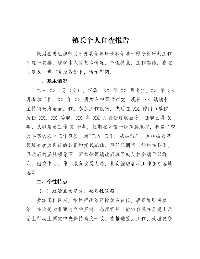 镇长个人自查报告
