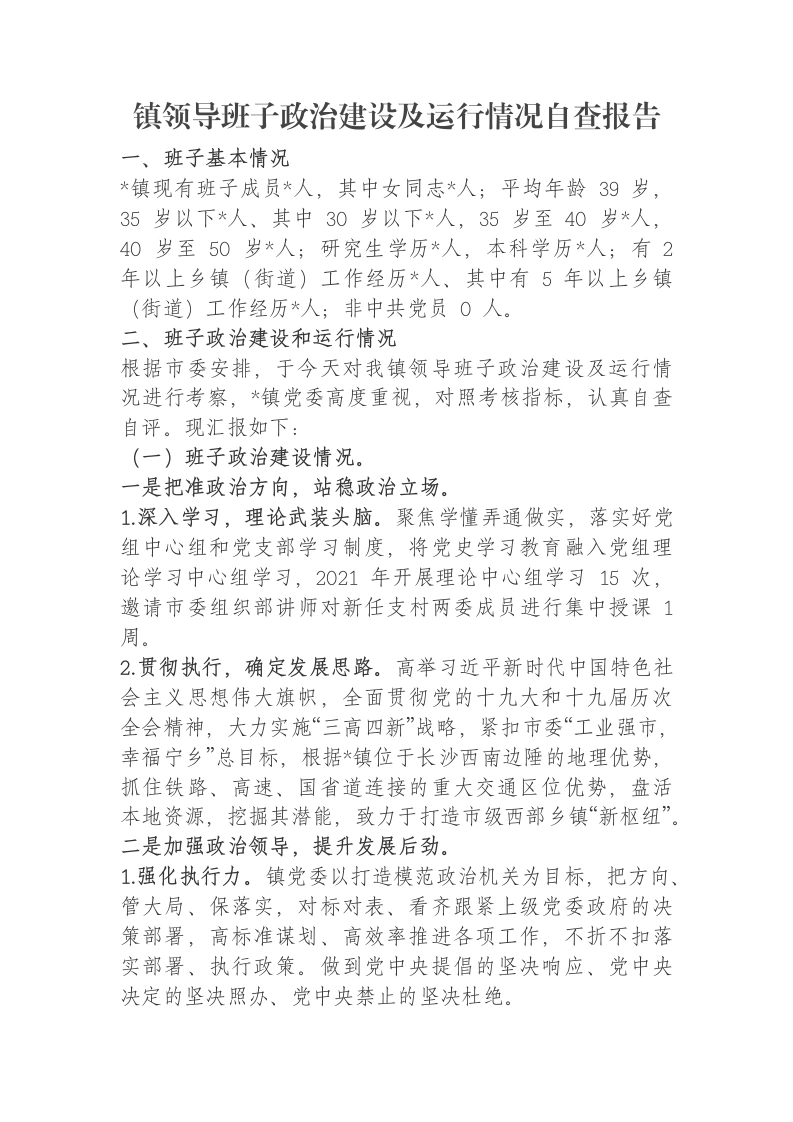 镇领导班子政治建设及运行情况自查报告