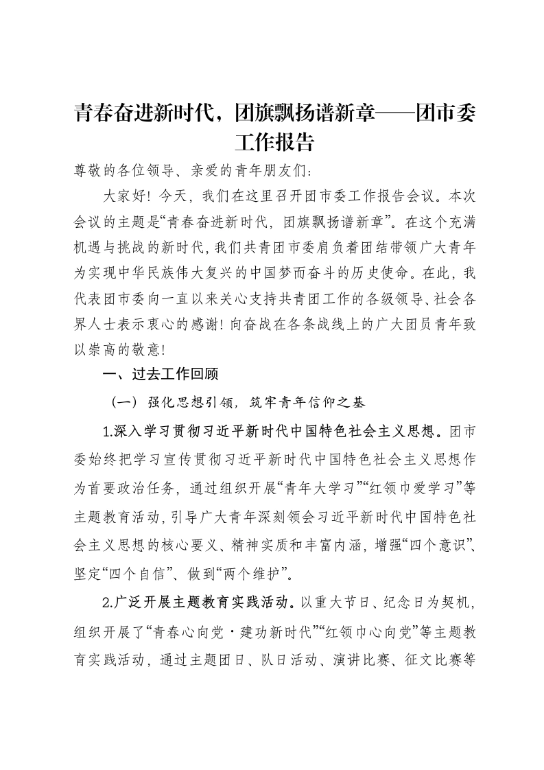 青春奋进新时代，团旗飘扬谱新章——团市委工作报告